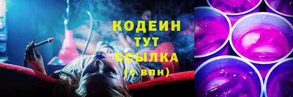 индика Медногорск