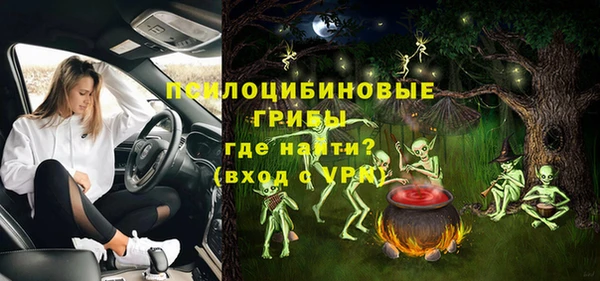 индика Медногорск