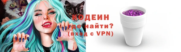 индика Медногорск