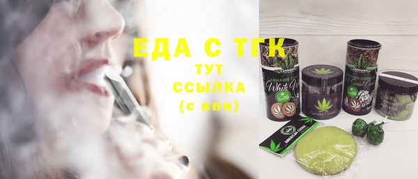 индика Медногорск
