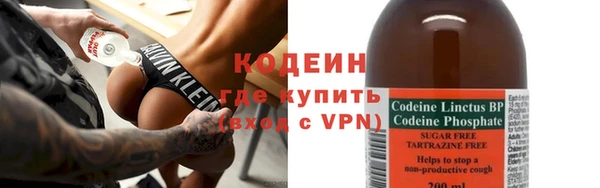 индика Медногорск