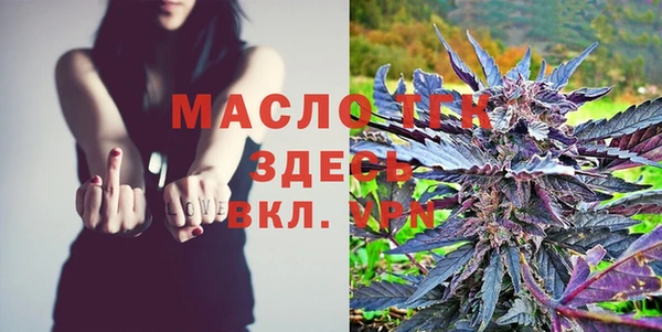индика Медногорск