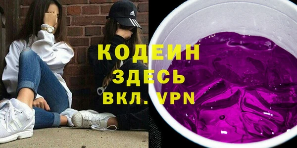 индика Медногорск