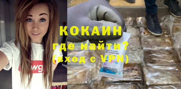 индика Медногорск