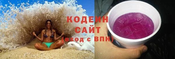 индика Медногорск